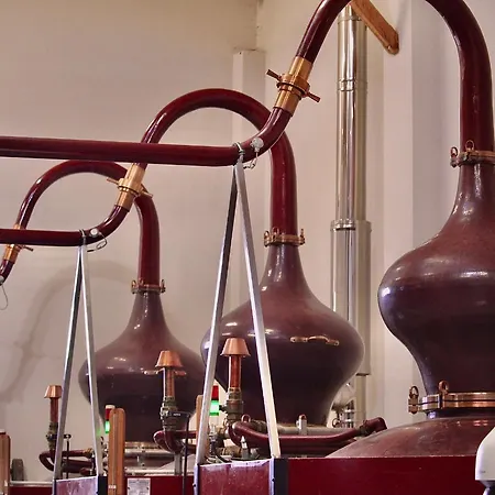 En Terrasse A Panzió Cognac