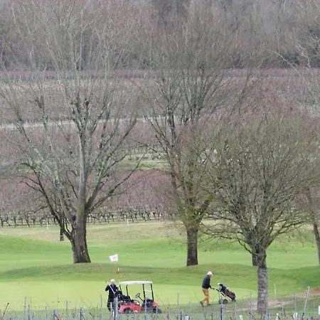En Terrasse A Cognac