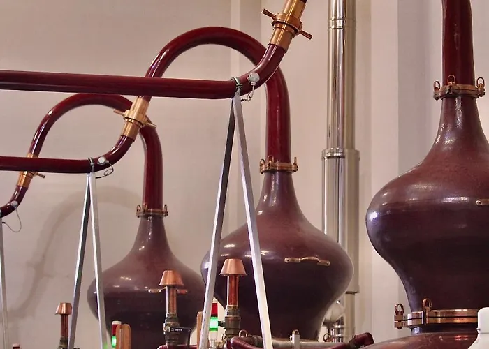 En Terrasse A Bed and breakfast Cognac