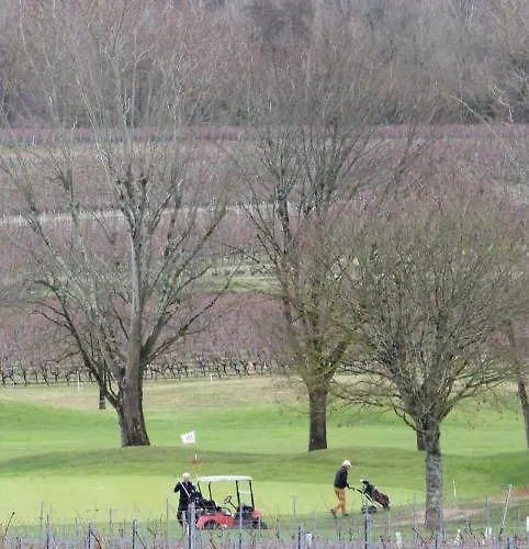 En Terrasse A Cognac