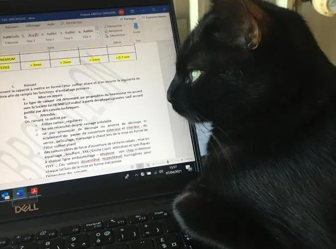 Bed and breakfast En Terrasse A